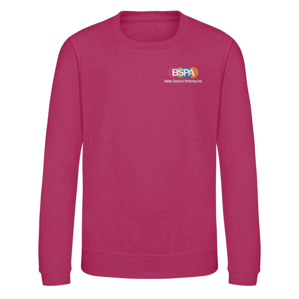 BSPA Sweatshirt (kids sizing) Thumbnail